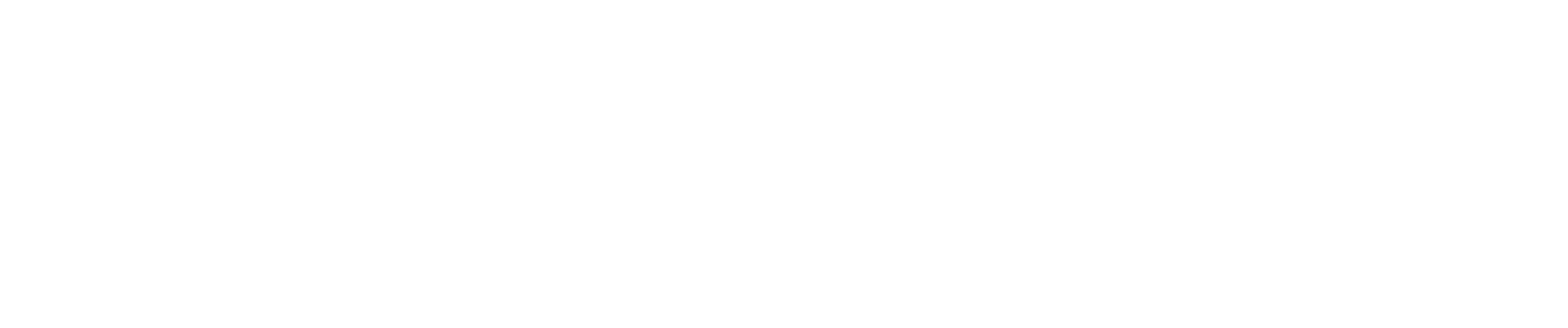 Zscaler logo